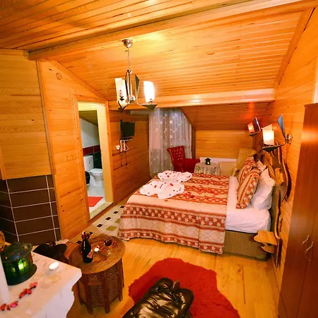 Hotel Assortie La Istanboel