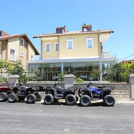 Assortie La Ağva