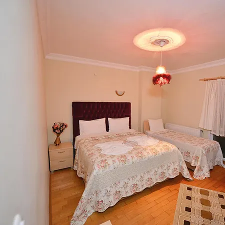 Otel Assortie La Ağva
