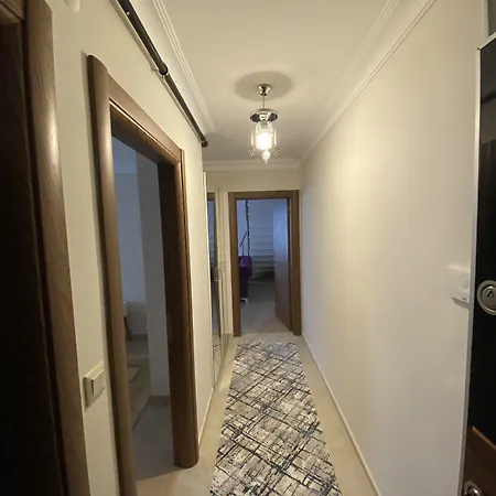 Assortie La Ağva