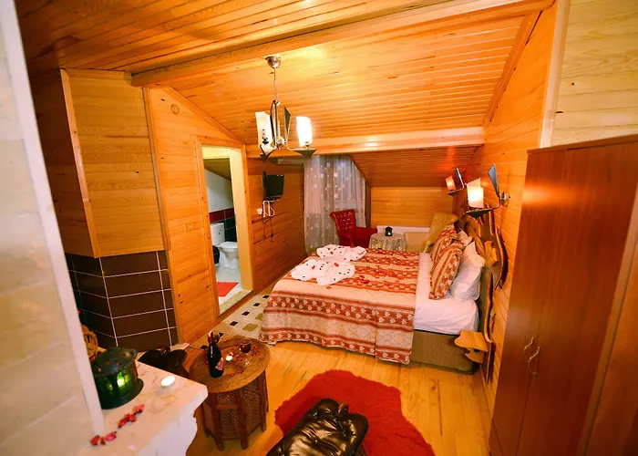 Hotel Assortie La Istanbul