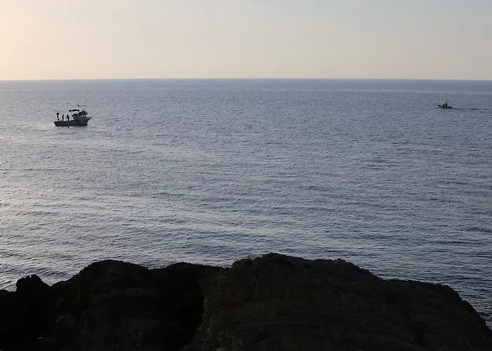 Assortie La Hotel 3*