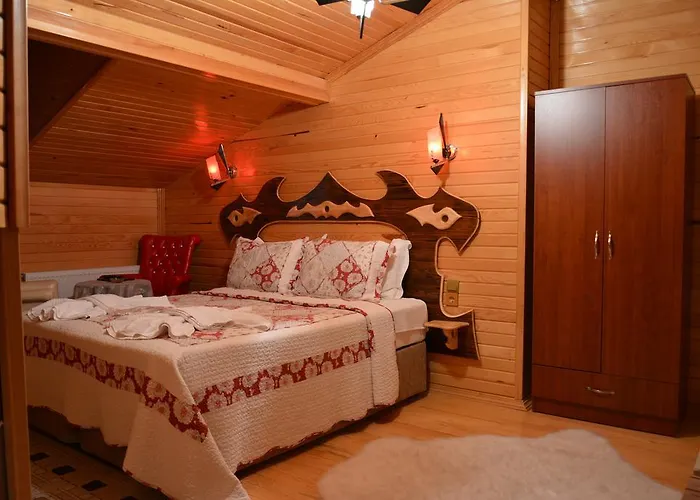 Hotel Assortie La Istanbul