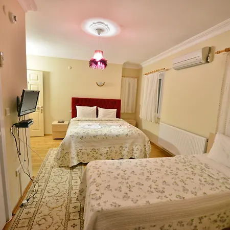 Hotel Assortie La Istanboel