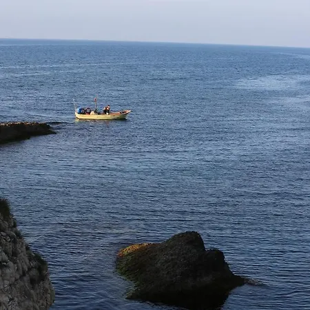 Assortie La מלון 3*